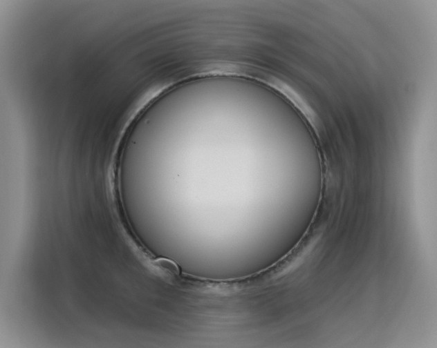 X0000115850901200911201611