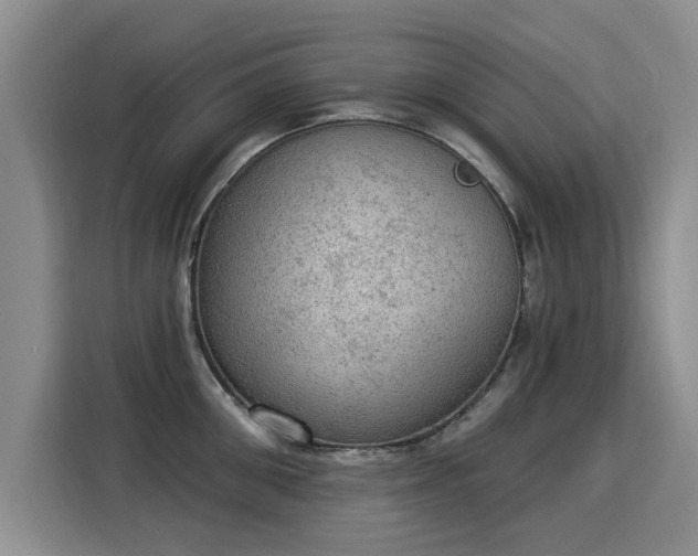 X0000115850906200911201611