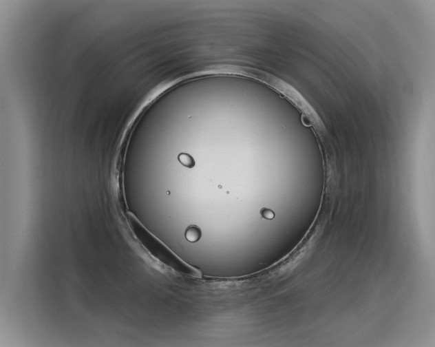 X0000115850908200911201611
