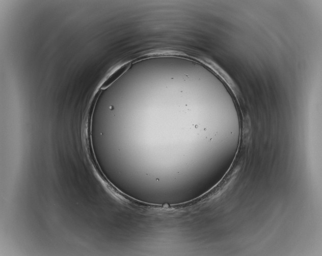 X0000115850909200911201611