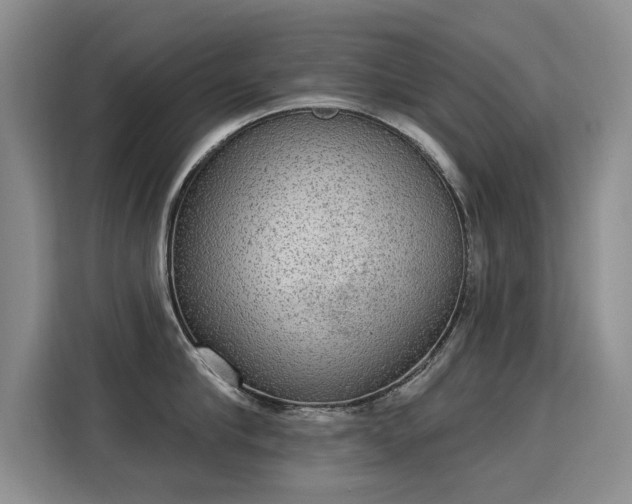 X0000115850910200911201611