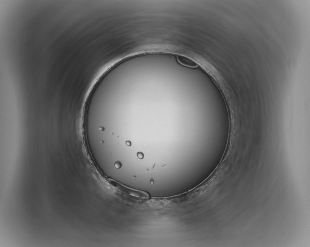 X0000115850912200911201611