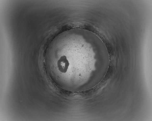 X0000115850913200911201610