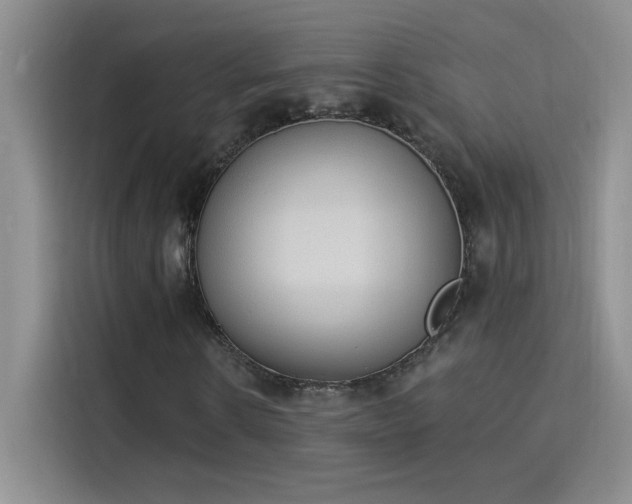 X0000115850914200911201610