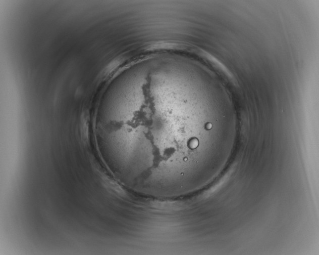 X0000115850921200911201610