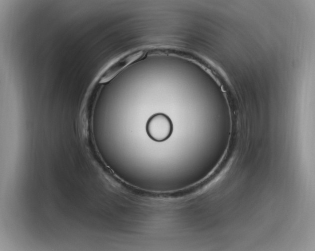 X0000115850925200911201610