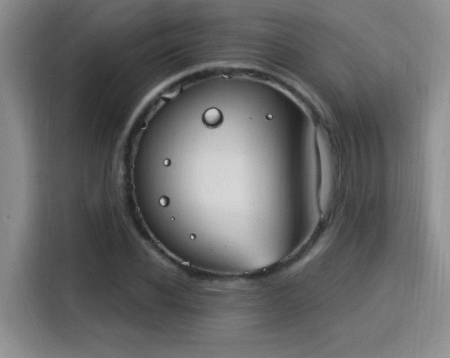 X0000115850926200911201610