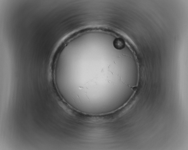 X0000115850927200911201610