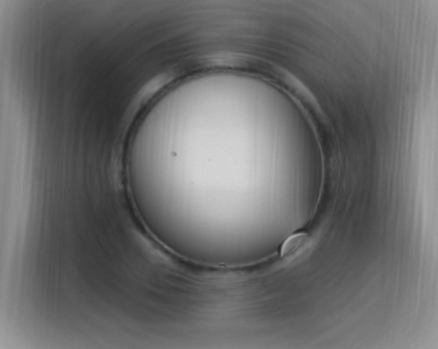 X0000115850930200911201610