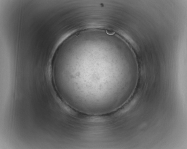 X0000115850933200911201610