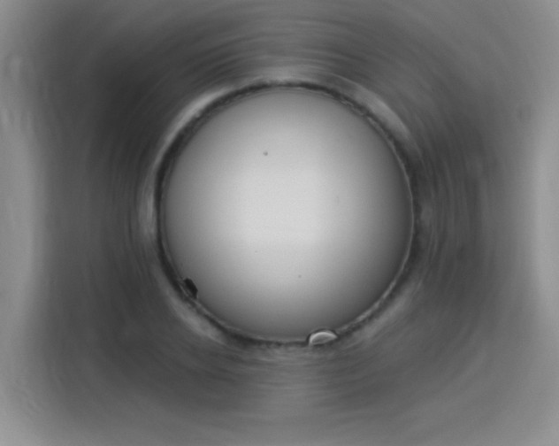 X0000115850934200911201610