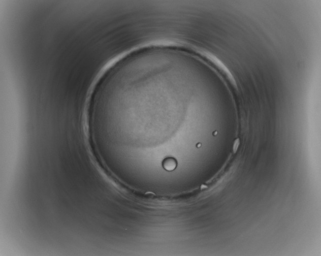 X0000115850935200911201610