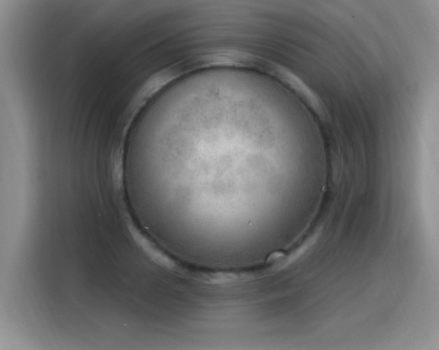 X0000115850938200911201611