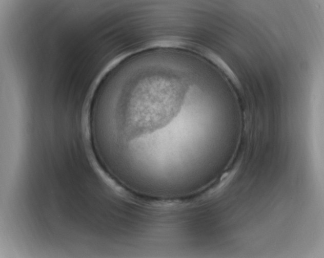 X0000115850939200911201611