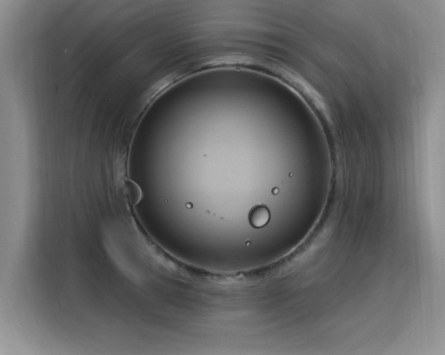 X0000115850945200911201611