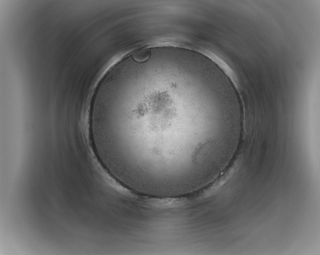 X0000115850949200911201611