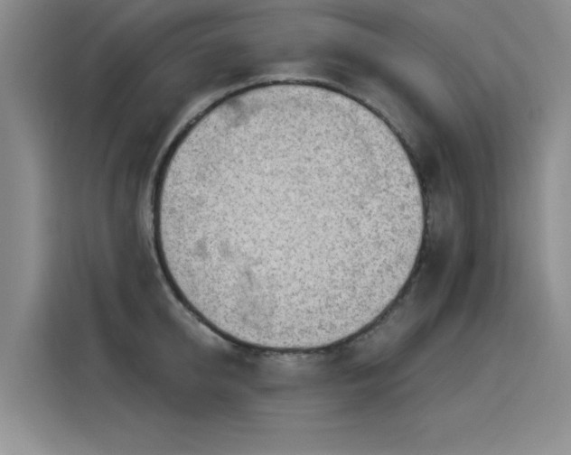 X0000115850950200911201611