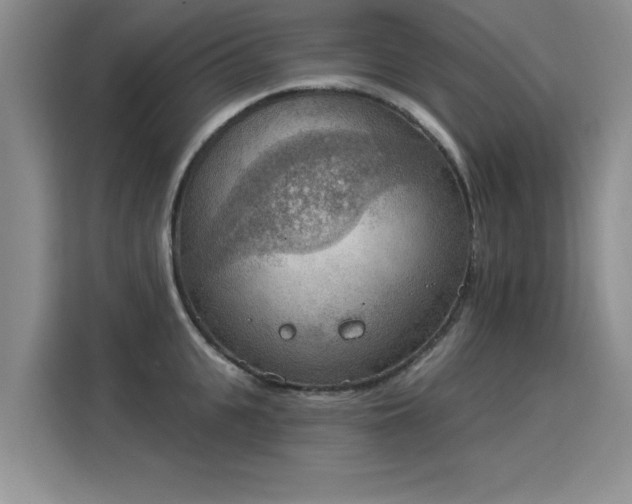 X0000115850951200911201611
