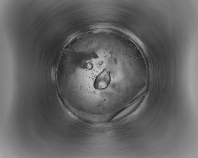 X0000115850953200911201611