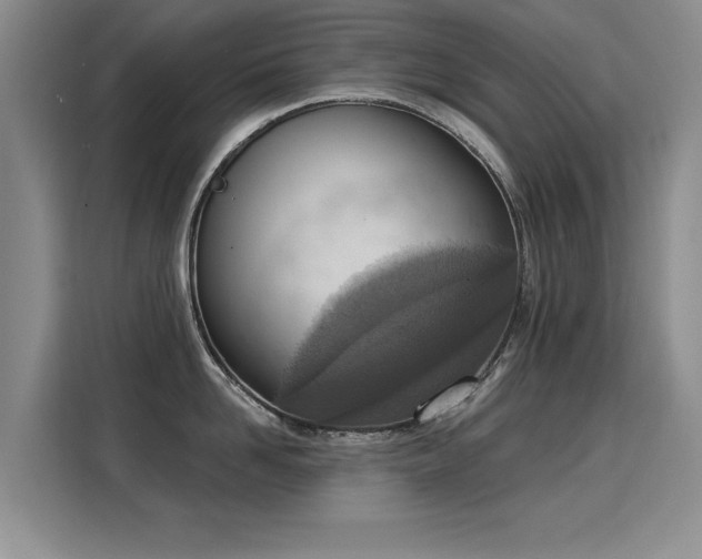X0000115850958200911201611