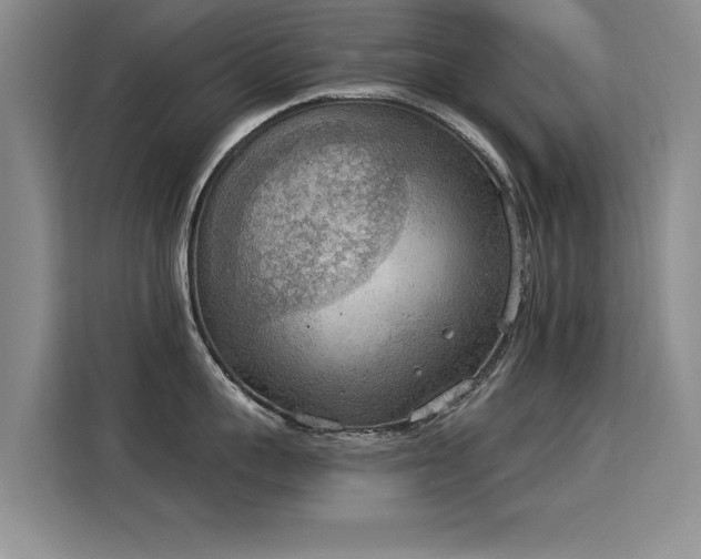 X0000115850959200911201611