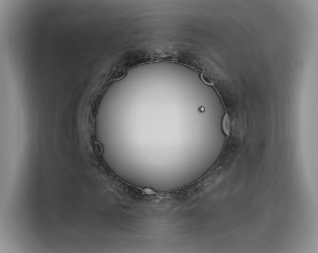X0000115850961200911201610