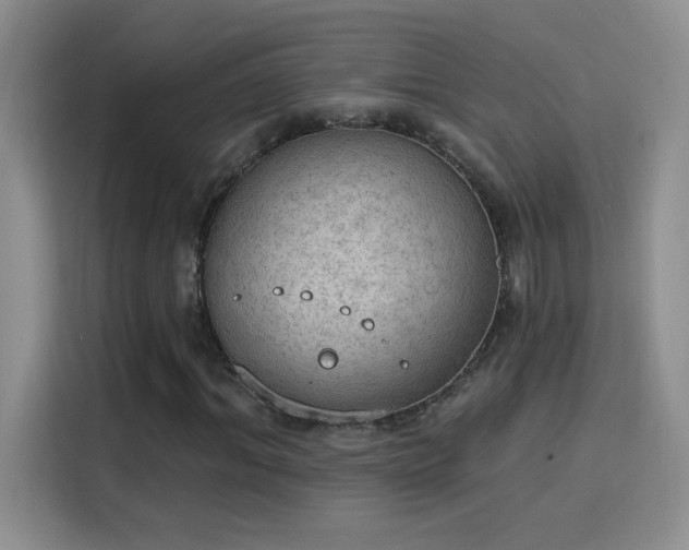 X0000115850964200911201610