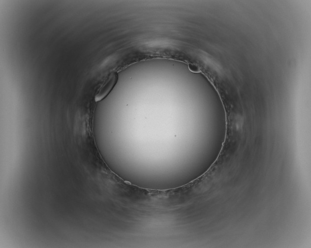 X0000115850965200911201610