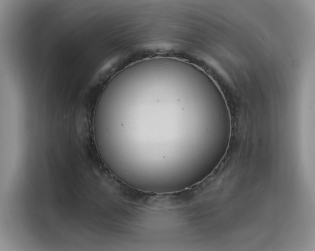 X0000115850967200911201610