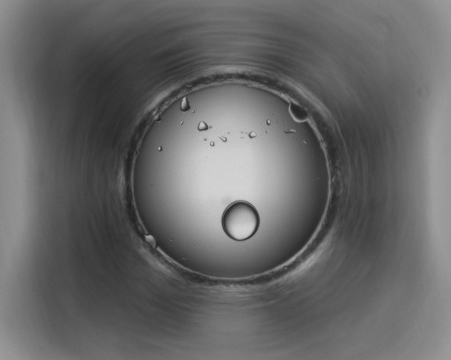 X0000115850969200911201610