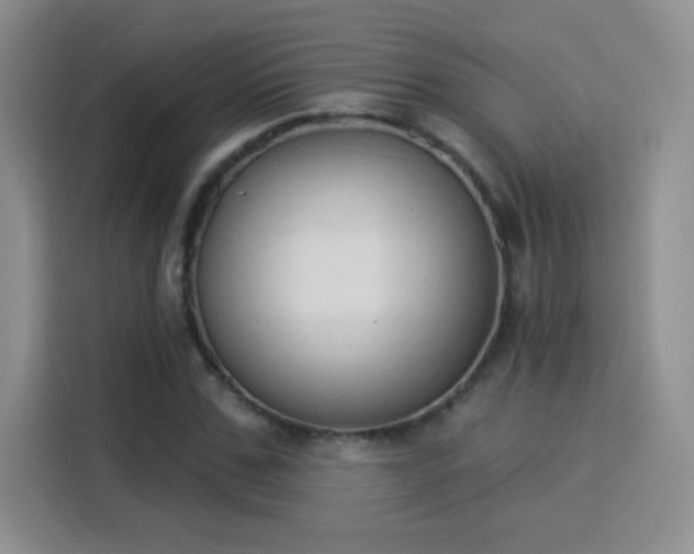 X0000115850971200911201610