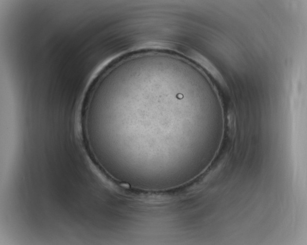 X0000115850972200911201610