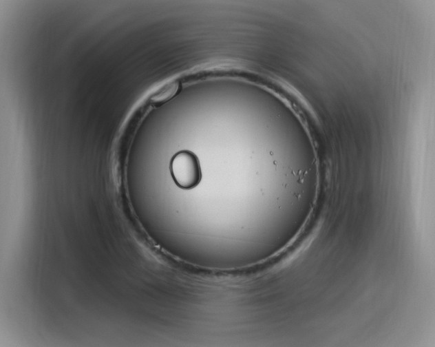 X0000115850973200911201610
