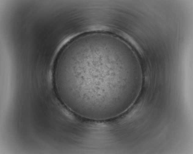 X0000115850975200911201610