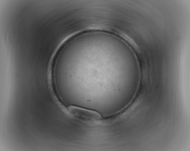 X0000115850976200911201610