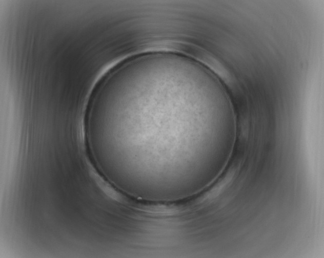X0000115850980200911201610