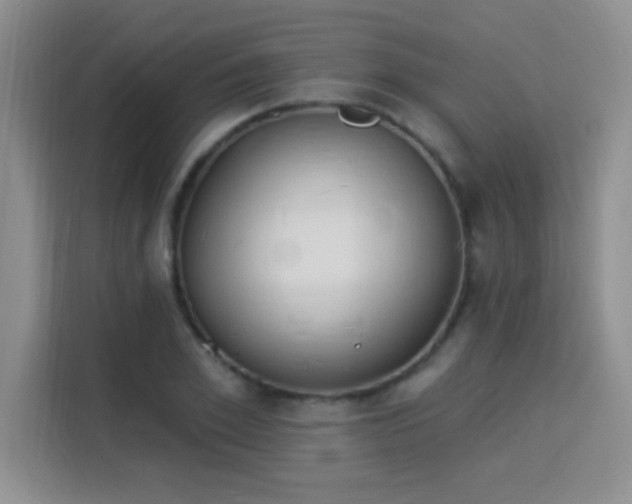 X0000115850981200911201610