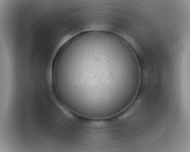 X0000115850982200911201610