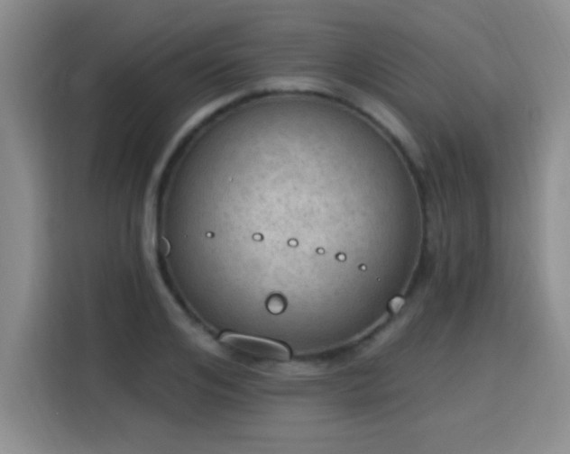X0000115850984200911201610