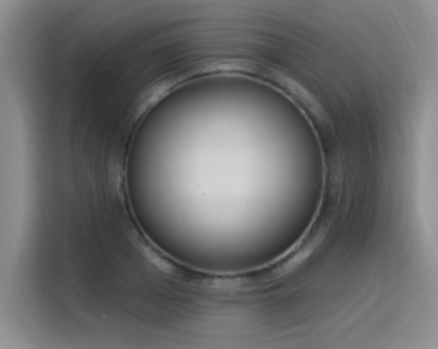 X0000115850985200911201610