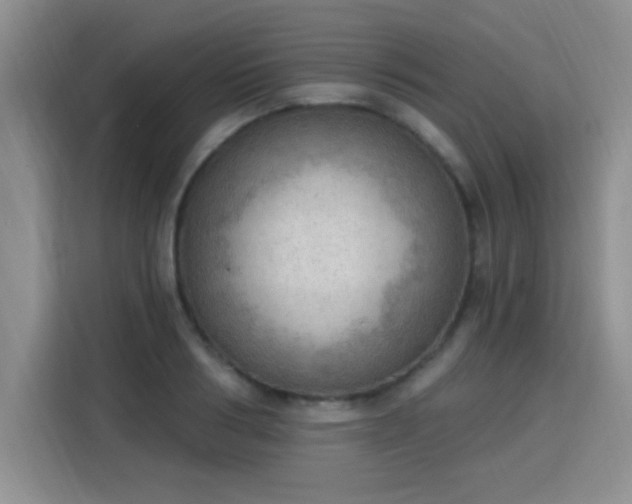 X0000115850986200911201610