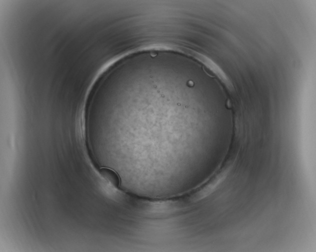 X0000115850988200911201610