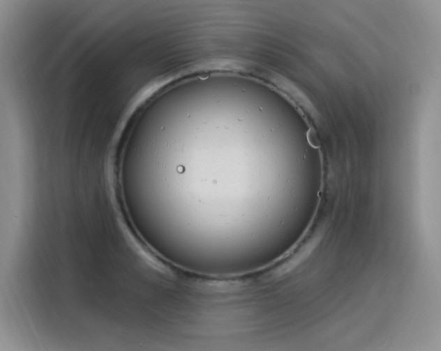 X0000115850989200911201610