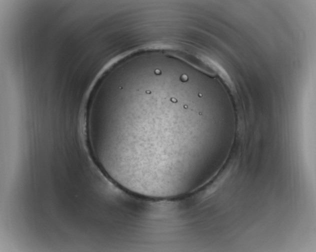 X0000115850992200911201610