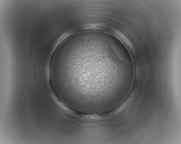 X0000115850994200911201610