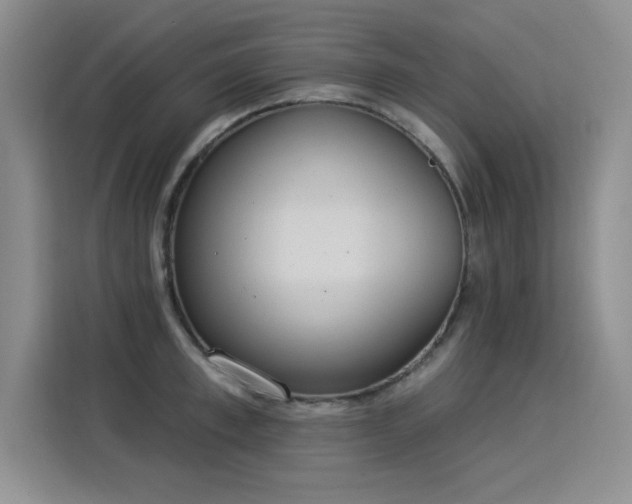 X0000115850997200911201610