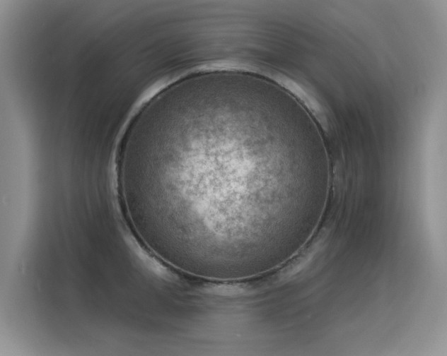 X0000115850998200911201610