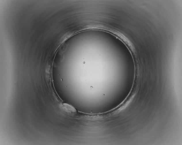 X0000115851001200911201610