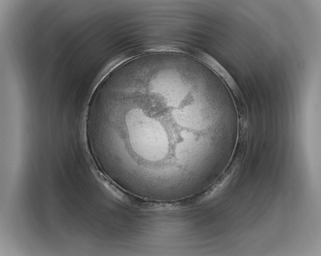 X0000115851002200911201610