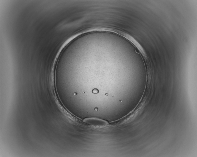 X0000115851004200911201610